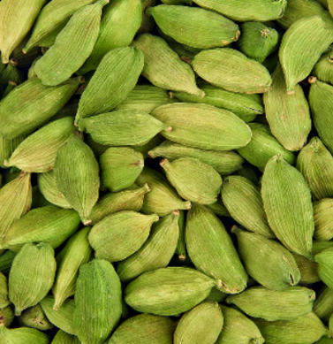 Whole Coriander Seeds